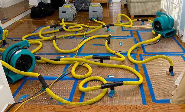 Professional Water Damage Restoration technician working in Murfreesboro, AR
